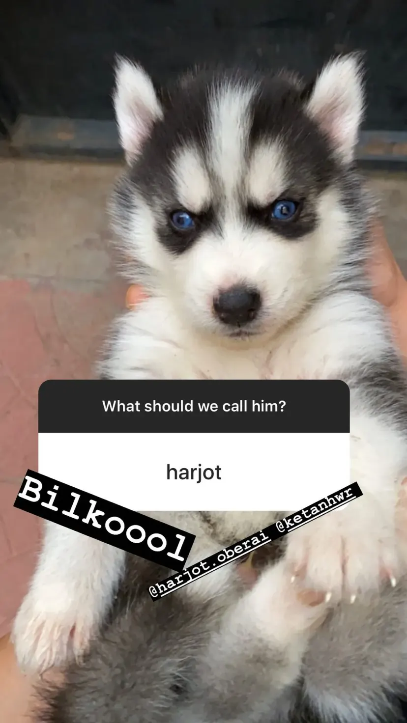 Bilkoool @harjot.oberai @ketanhwr