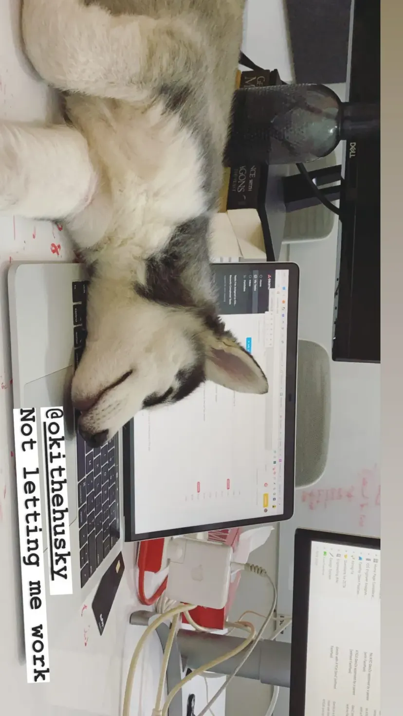 @okithehusky
Not letting me work