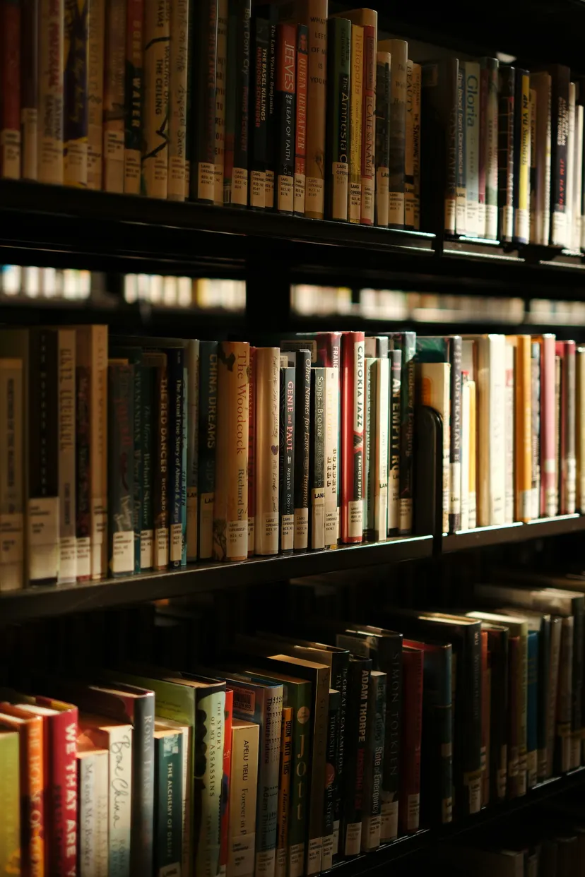 Rows of books on dark library shelves