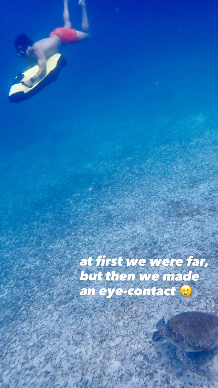 at first we were far,
but then we made
an eye-contact 🥲