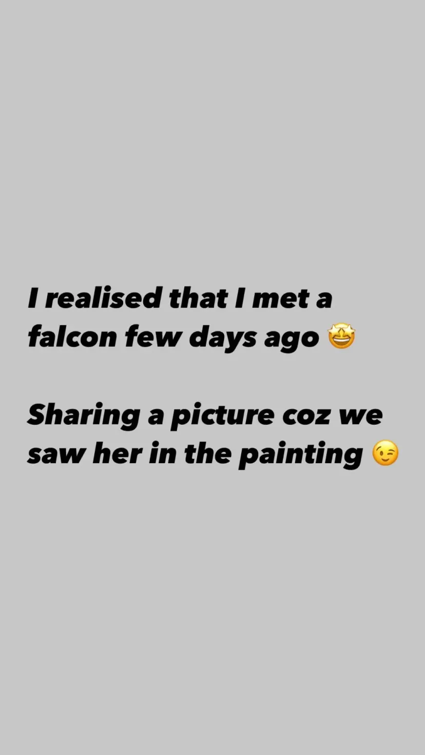 I realised that I met a falcon few days ago 🤩

Sharing a picture coz we saw her in the painting 😉