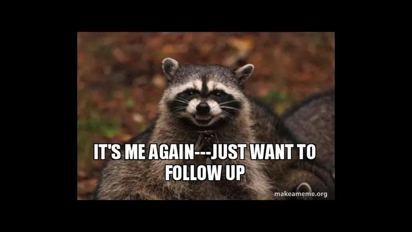 Meme of a raccoon: “It’s me again — just want to follow up”
