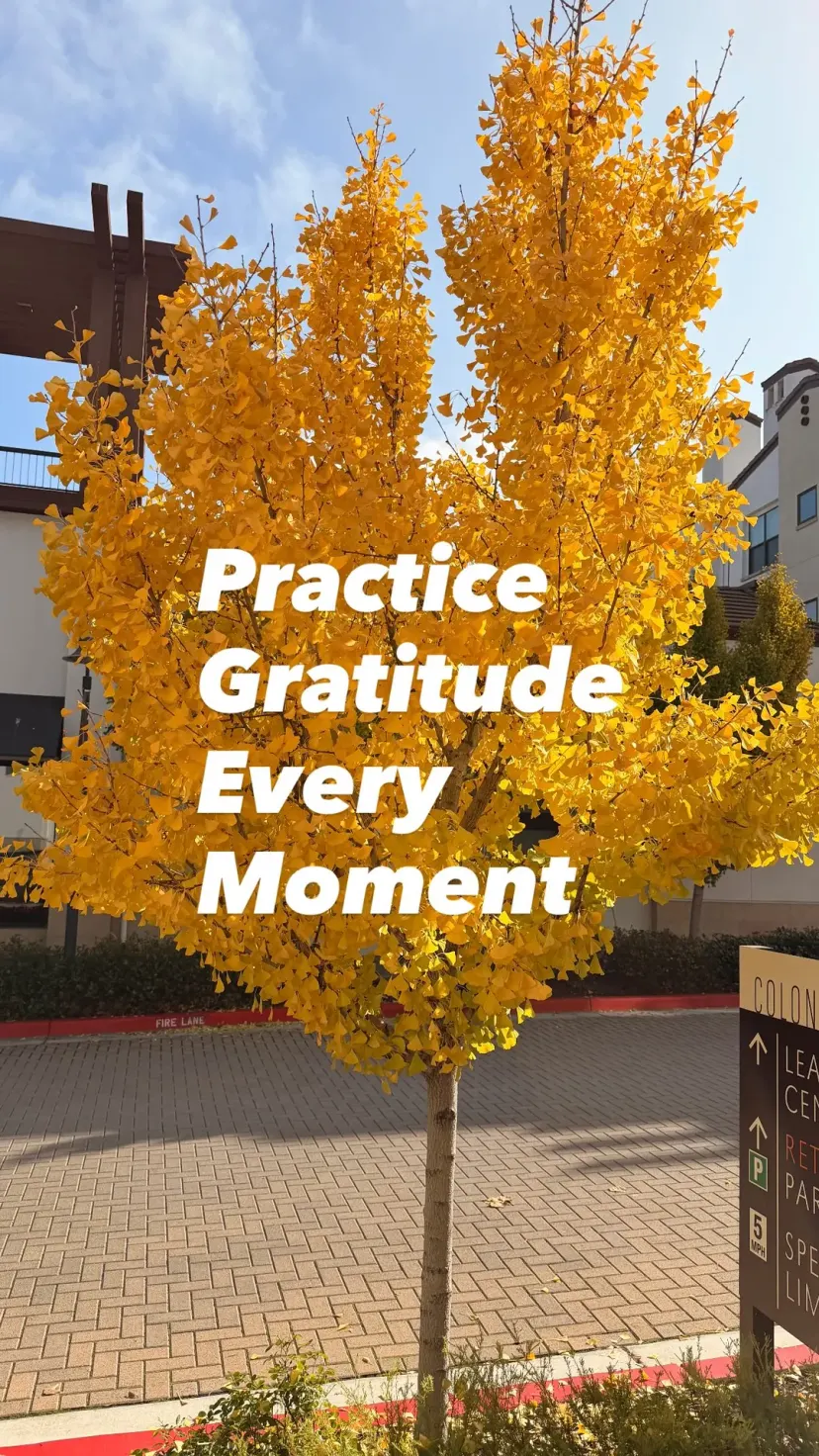 Practice
Gratitude
Every
Moment