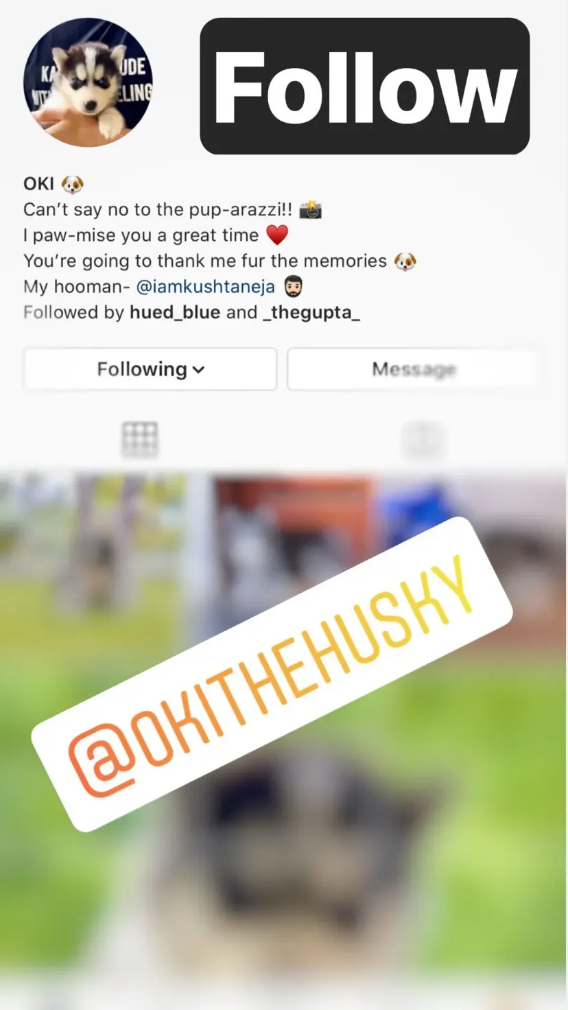 Follow