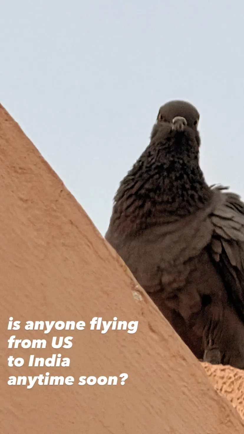 is anyone flying
from US
to India
anytime soon?